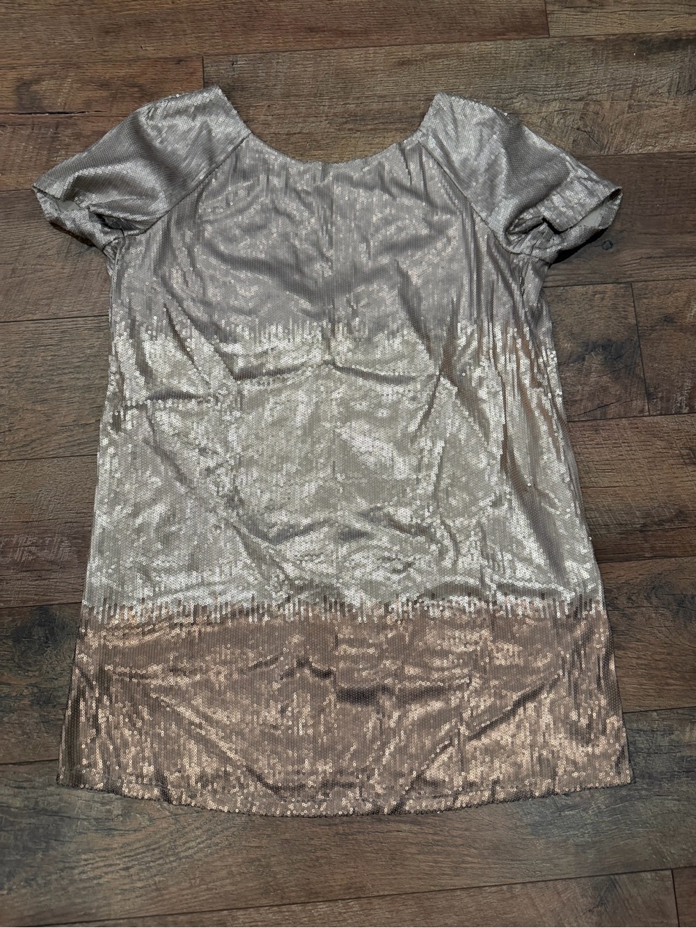 Free People Metallic Two-Tone Short Sleeve Tunic in Silver and Champagne
